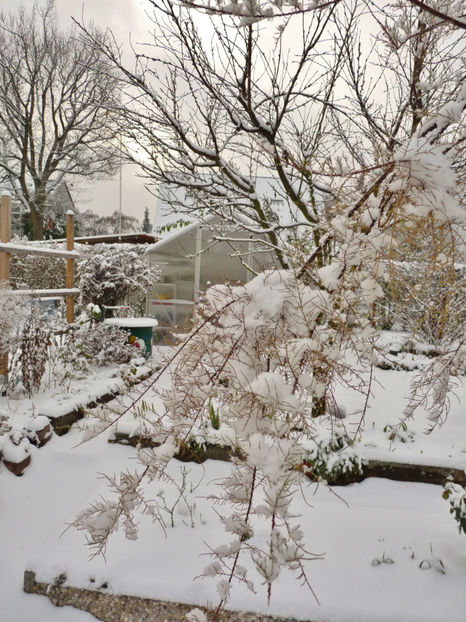  - 2020 - 04 - 2021 - 00 - Iarna