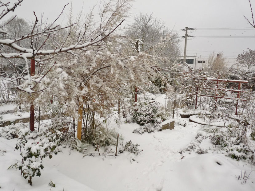  - 2020 - 04 - 2021 - 00 - Iarna