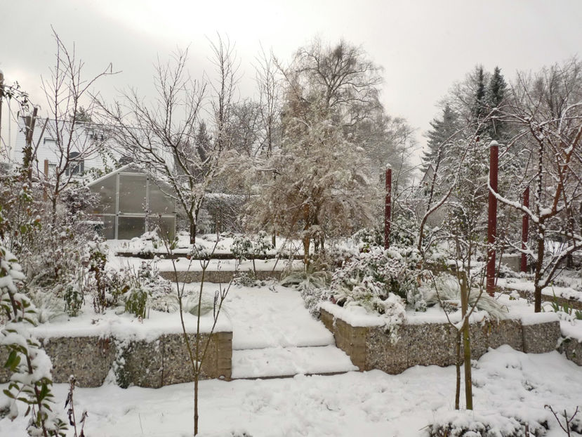  - 2020 - 04 - 2021 - 00 - Iarna