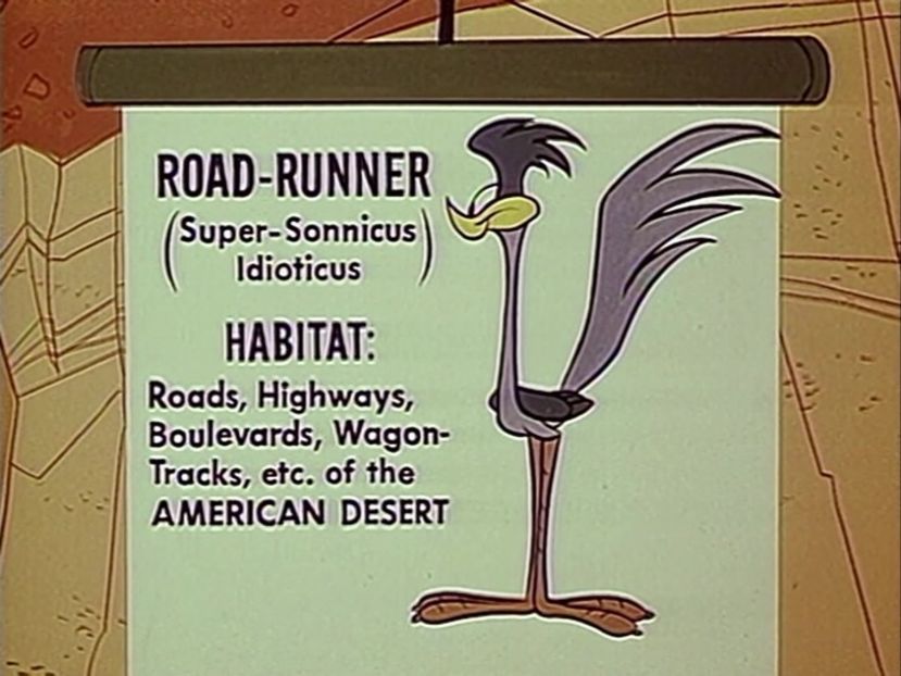 Looney Tunes - Looney Tunes Part 5