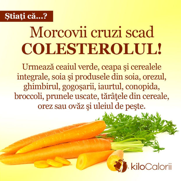 126130861_2798680150370296_9142613157396209391_o - Sfaturi Utile