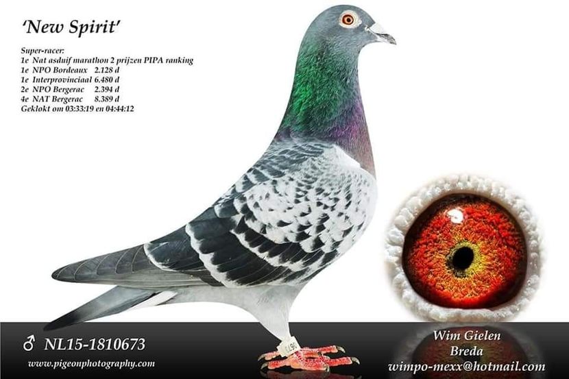  - 2020-decembrie-intarire Vochin George