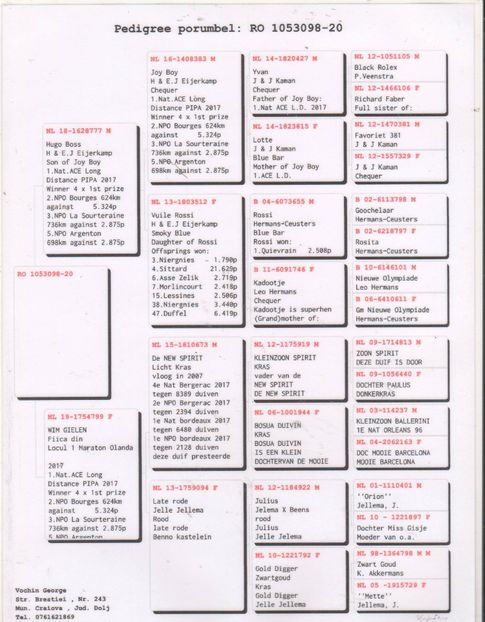 Scan116-2500x3200 - 2020-decembrie-intarire Vochin George