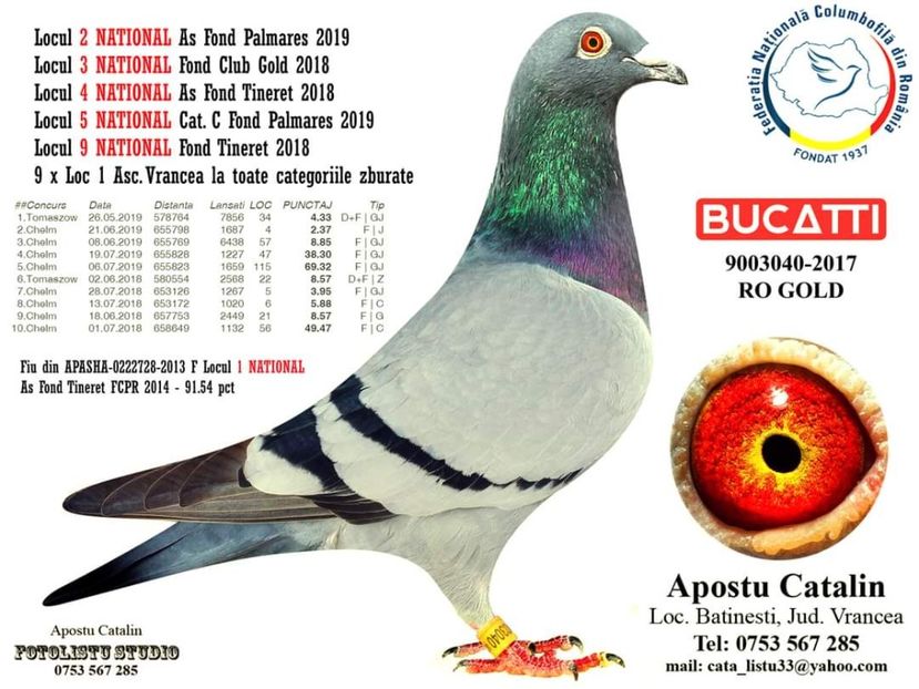  - 2020-decembrie-intarire Arteni