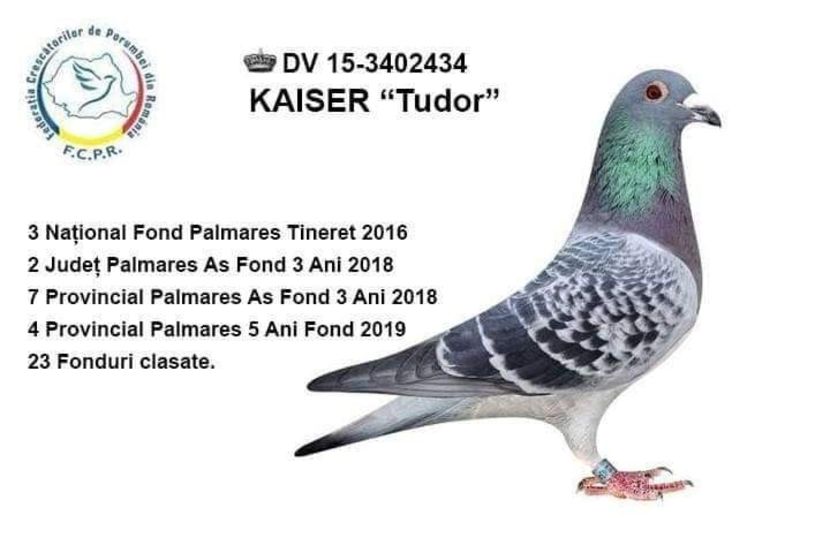  - 2020-decembrie-intarire Arteni