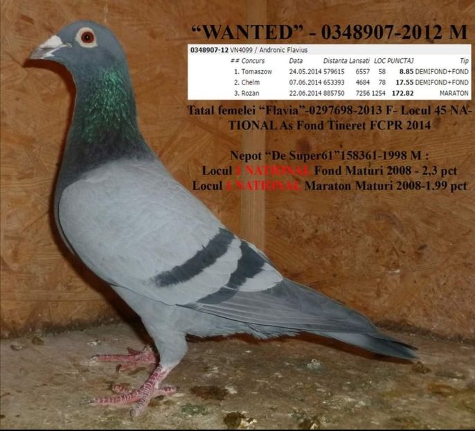 Screenshot_20201129_221644 - 2020-decembrie-intarire Arteni