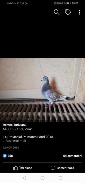 Screenshot_20201130_100146_com.facebook.katana - 2020-decembrie-intarire Arteni