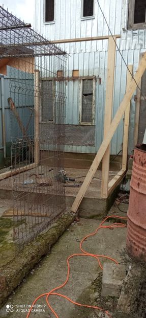  - DE PRIN PORUMBARIE