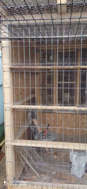  - DE PRIN PORUMBARIE