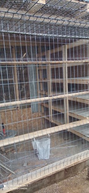  - DE PRIN PORUMBARIE