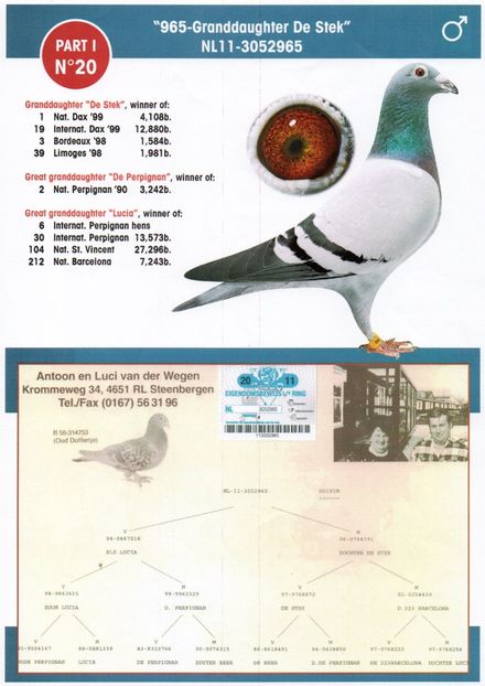 v.d.Wegen - Anton si Luci van der Wegen