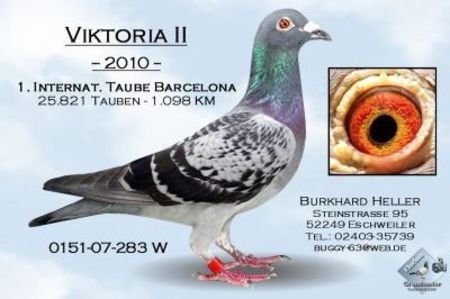 1 int Barcelona 2010 - Barcelona internațional