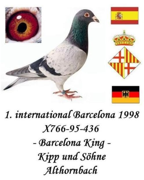 1 int Barcelona 1998 - Barcelona internațional