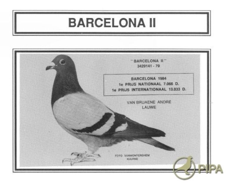 1 int Barcelona 1984 - Barcelona internațional