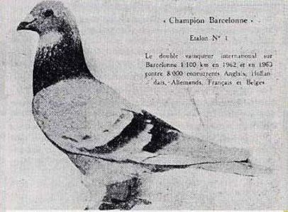 1 int Barcelona 1962 și 1963 A. Demaret - Barcelona internațional
