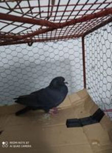  - Achizitii 7 Decembrie 2020