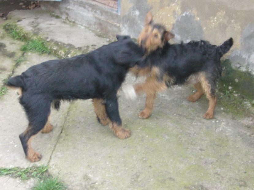 7087DEE6-4C3C-449C-A721-E68FC4690858 - A contact