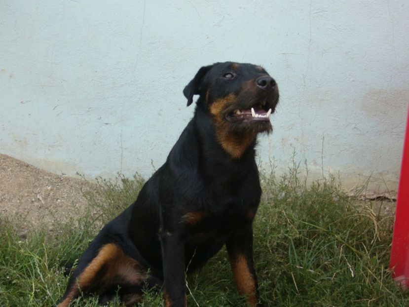 F4285D12-5F09-4EDD-AF94-D02A6067E314 - A contact