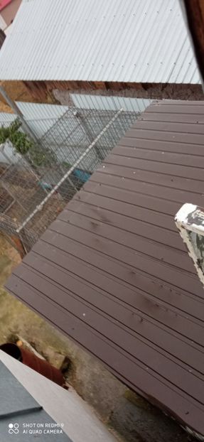  - DE PRIN PORUMBARIE