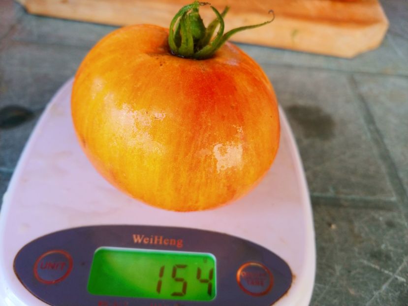 ZEBRA ORANGE (8) - ZEBRA ORANGE