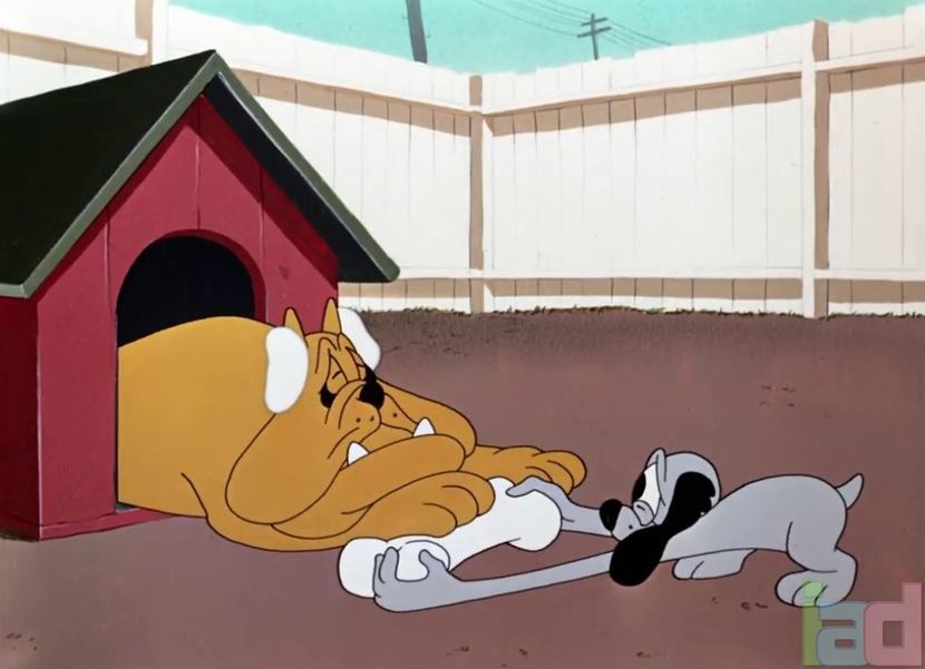 Looney Tunes - Looney Tunes Part 5
