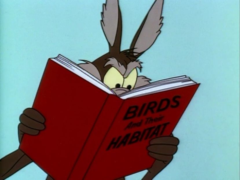 Looney Tunes - Looney Tunes Part 5