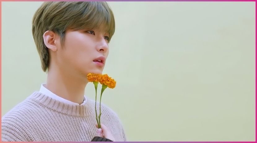 ▪ Dᴀʏ 196 ▬ 13.12.2020 ▪ - lets break all the rules__CRAVITY