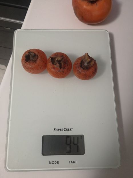  - arbori fructiferi 2020
