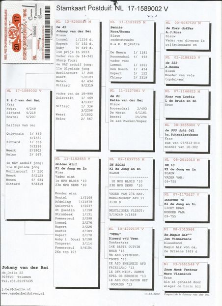 002ped - Porumbei super top 2020 achizitii