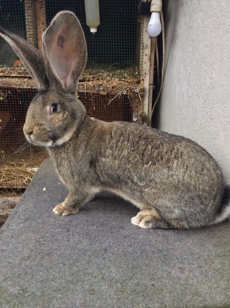 1FDBF2EF-C2E8-4B9A-BA86-D991E85D9239 - RO 8-3036