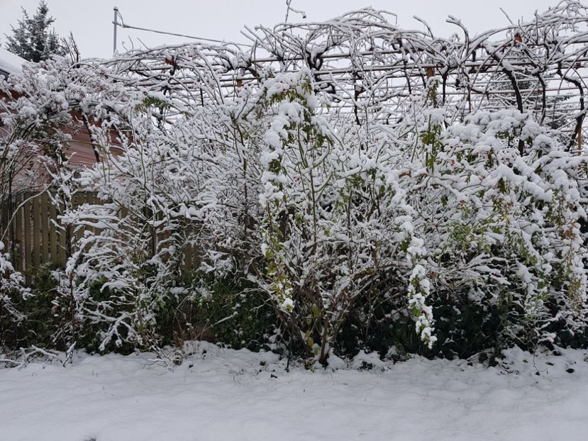  - 2020_Decembrie
