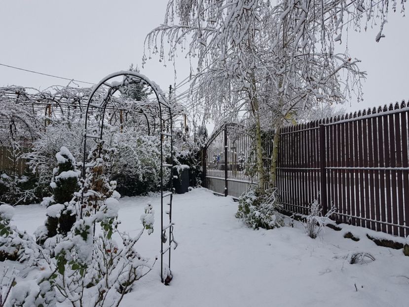  - 2020_Decembrie