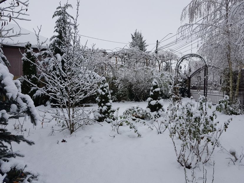 - 2020_Decembrie