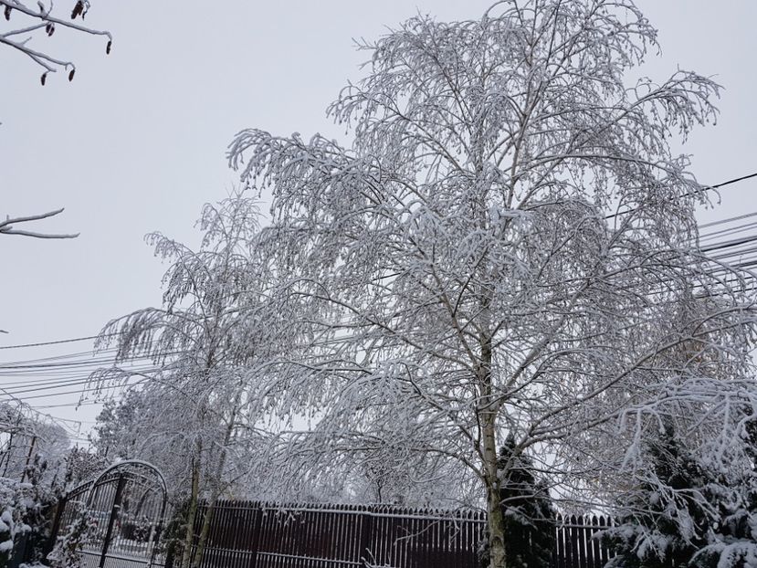  - 2020_Decembrie