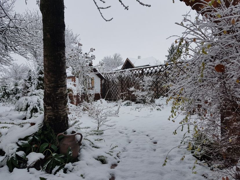  - 2020_Decembrie