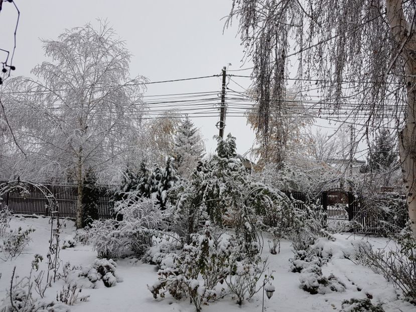  - 2020_Decembrie