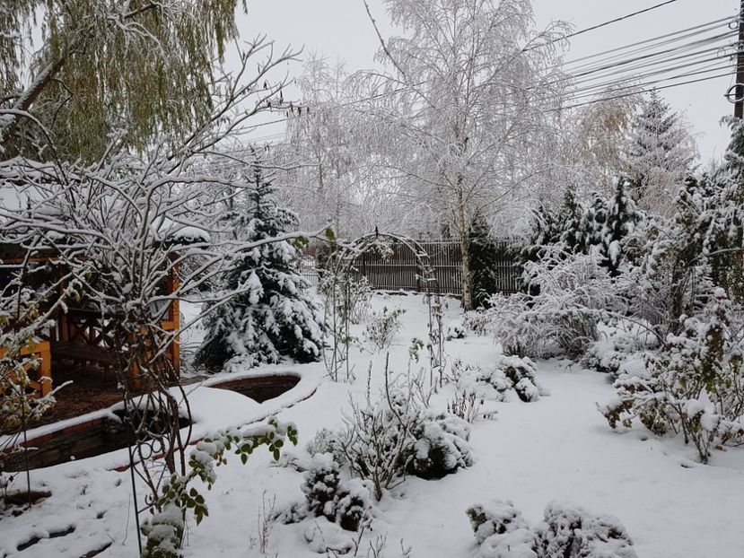  - 2020_Decembrie