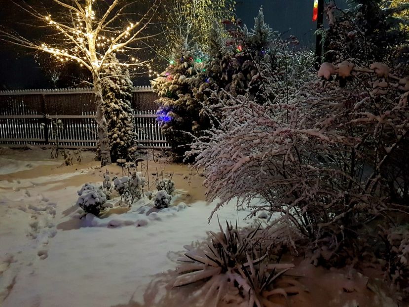 - 2020_Decembrie