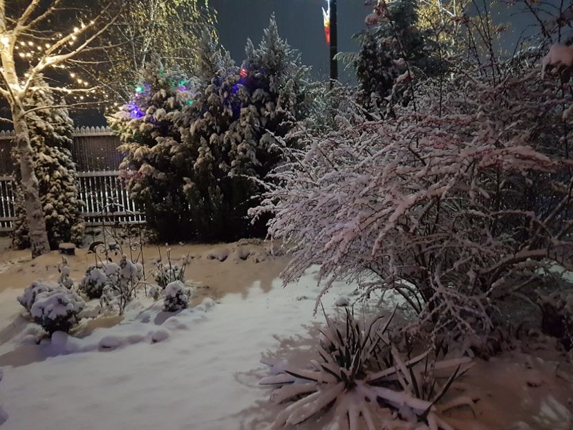  - 2020_Decembrie