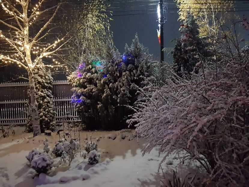  - 2020_Decembrie