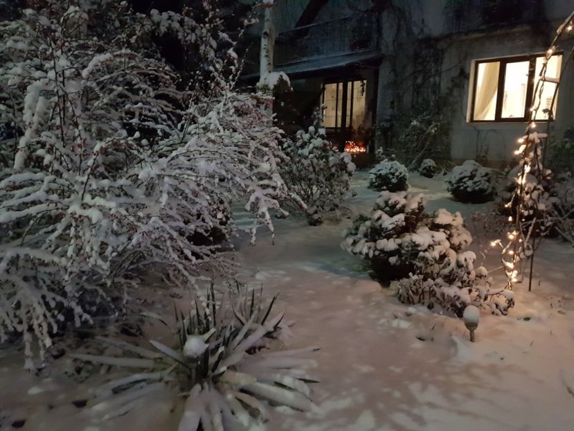  - 2020_Decembrie