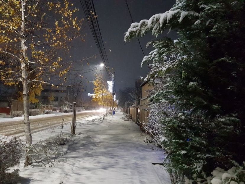  - 2020_Decembrie