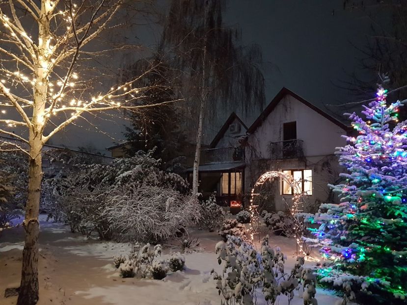  - 2020_Decembrie