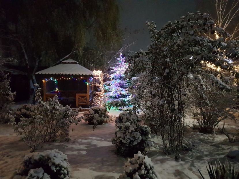  - 2020_Decembrie