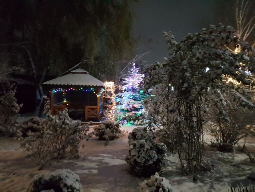  - 2020_Decembrie