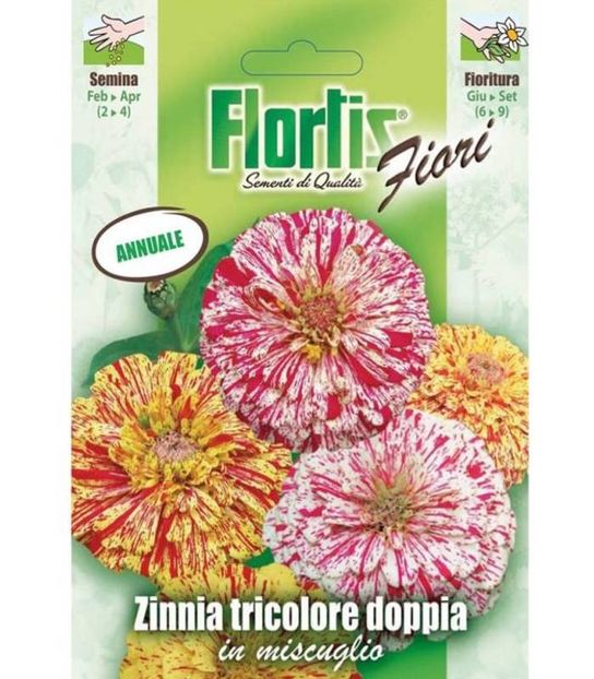 carciumarese-tricolore-duble-1-gr - seminte flori primavara 2021