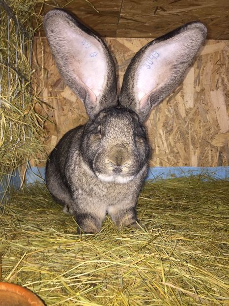 27A4F448-7CA3-4682-ACC4-015595D5DB4A - RO 8-3049