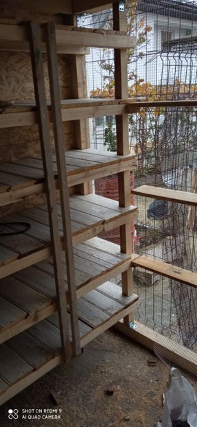  - DE PRIN PORUMBARIE