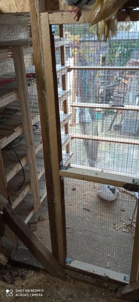  - DE PRIN PORUMBARIE