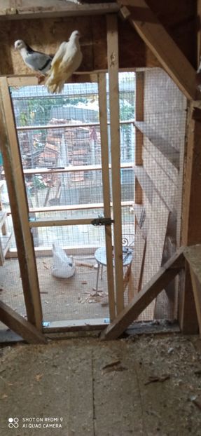  - DE PRIN PORUMBARIE